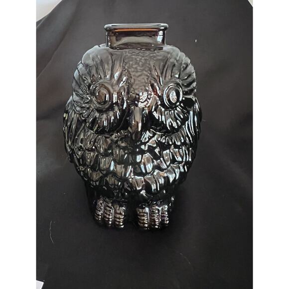 Amber Glass Wise Old Owl Glass Piggy Bank 7”tall Vintage Coin A8 - Picture 7 of 7